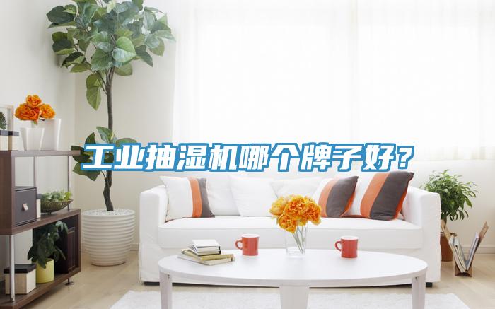 工業(yè)抽濕機哪個牌子好？