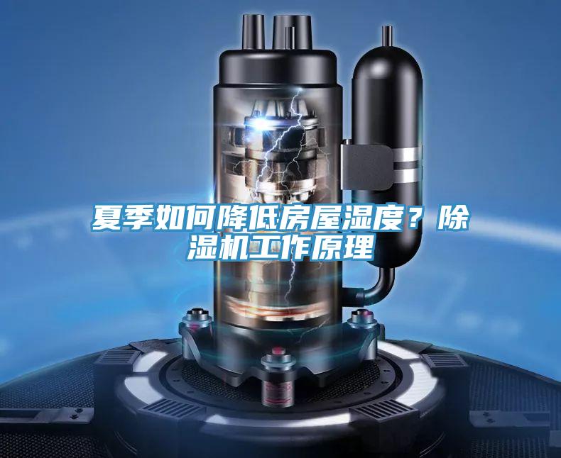 夏季如何降低房屋濕度？除濕機工作原理