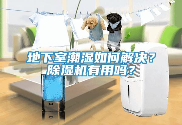 地下室潮濕如何解決？除濕機有用嗎？