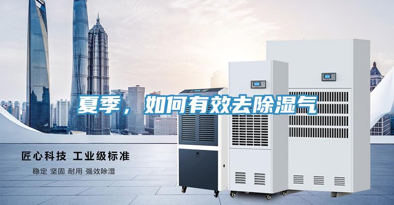 夏季，如何有效去除濕氣