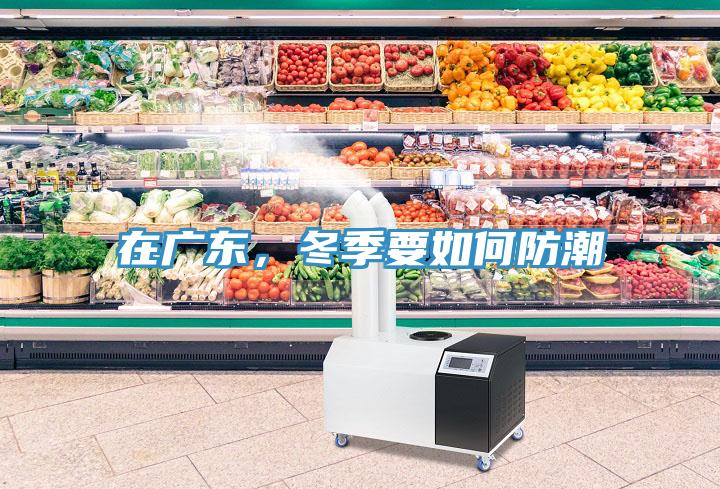 在廣東，冬季要如何防潮