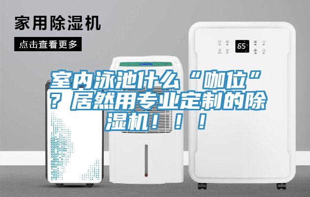 室內泳池什么“咖位”？居然用專業(yè)定制的除濕機?。。?/></p>
                            <p style=