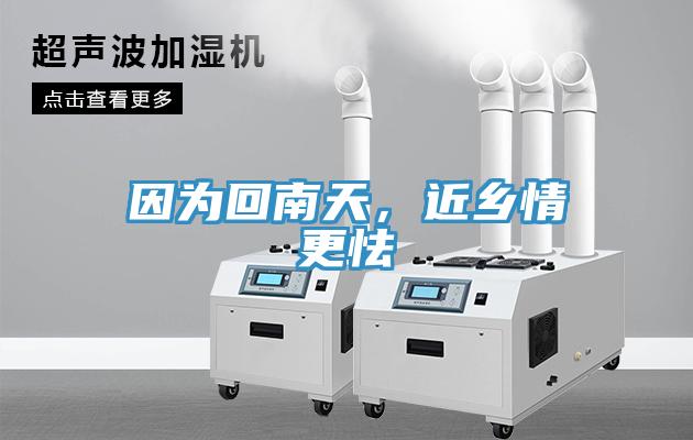 因為回南天，近鄉(xiāng)情更怯