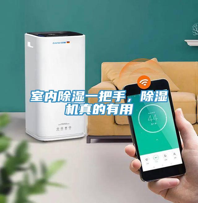 室內(nèi)除濕一把手，除濕機(jī)真的有用