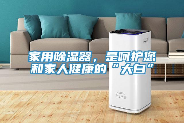 家用除濕器，是呵護(hù)您和家人健康的“大白”