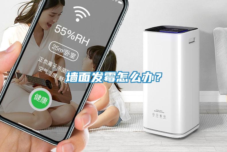墻面發(fā)霉怎么辦？