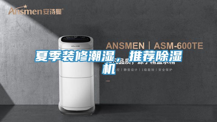 夏季裝修潮濕，推薦除濕機