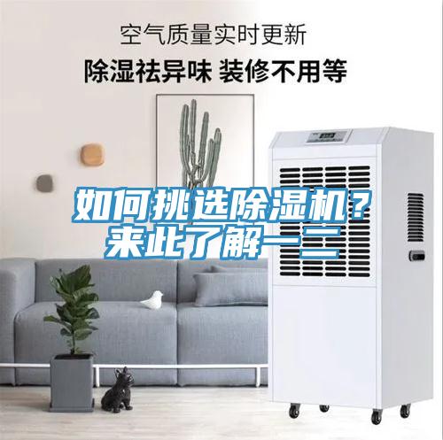 如何挑選除濕機？來此了解一二