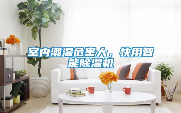 室內(nèi)潮濕危害大，快用智能除濕機