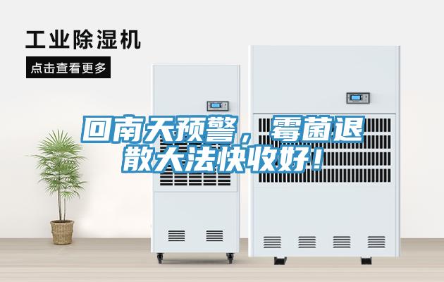 回南天預(yù)警，霉菌退散大法快收好！