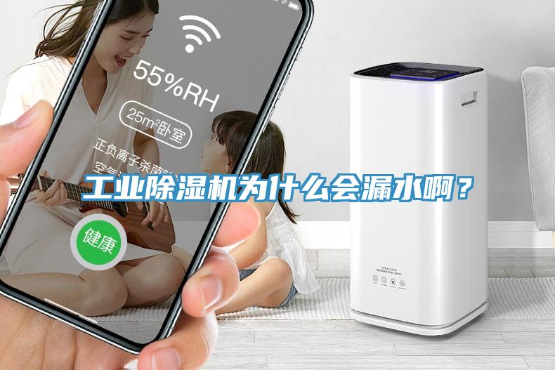 工業(yè)除濕機(jī)為什么會(huì)漏水??？