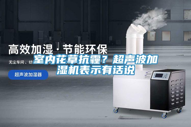 室內(nèi)花草抗霾？超聲波加濕機(jī)表示有話說