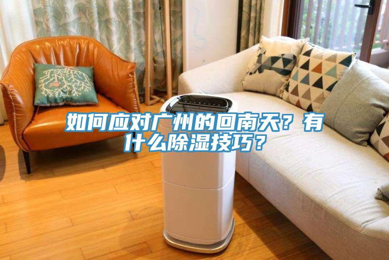 如何應(yīng)對廣州的回南天？有什么除濕技巧？
