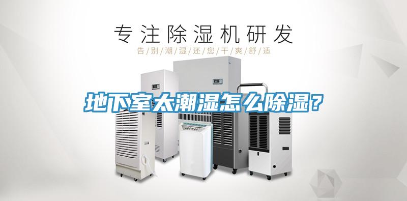 地下室太潮濕怎么除濕？