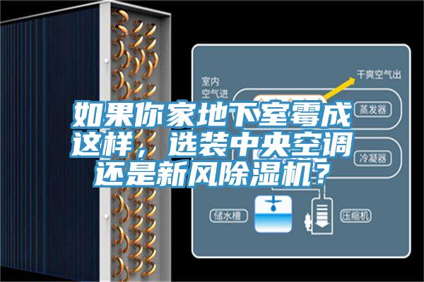如果你家地下室霉成這樣，選裝中央空調(diào)還是新風(fēng)除濕機？