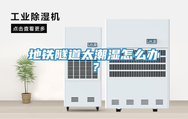 地鐵隧道太潮濕怎么辦？