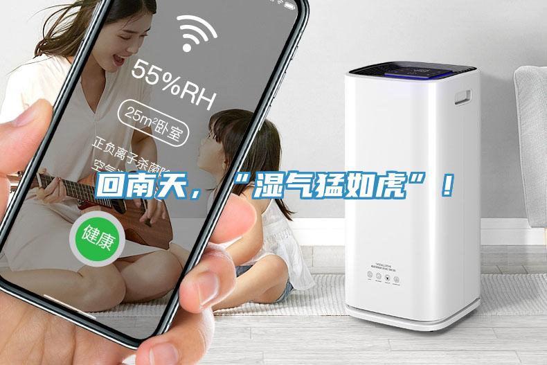 回南天，“濕氣猛如虎”！