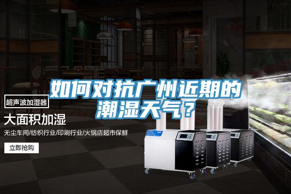 如何對(duì)抗廣州近期的潮濕天氣？