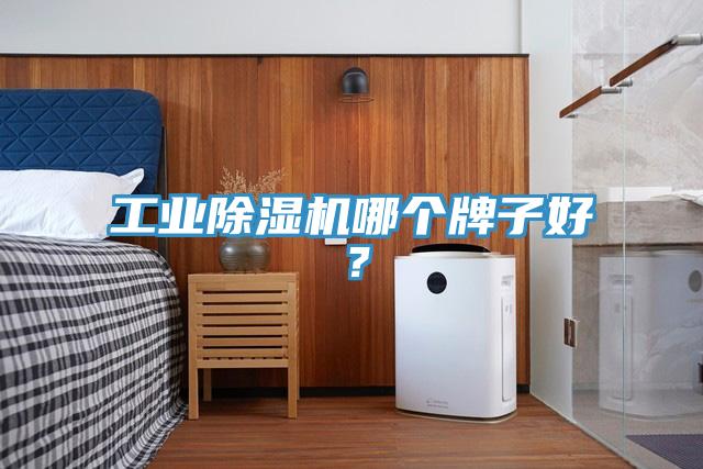 工業(yè)除濕機(jī)哪個(gè)牌子好？