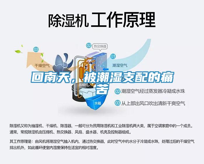 回南天，被潮濕支配的痛苦