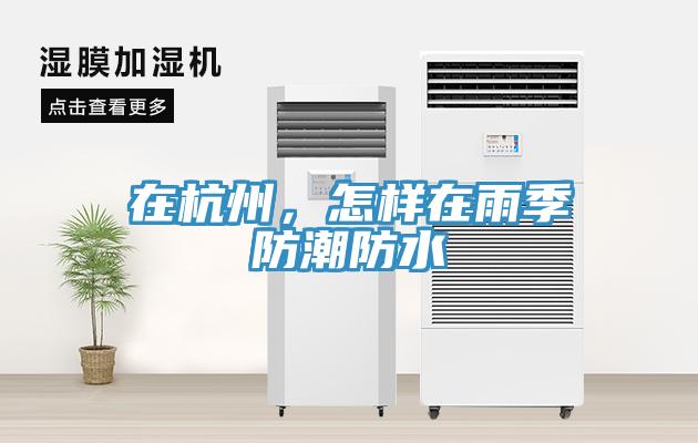 在杭州，怎樣在雨季防潮防水