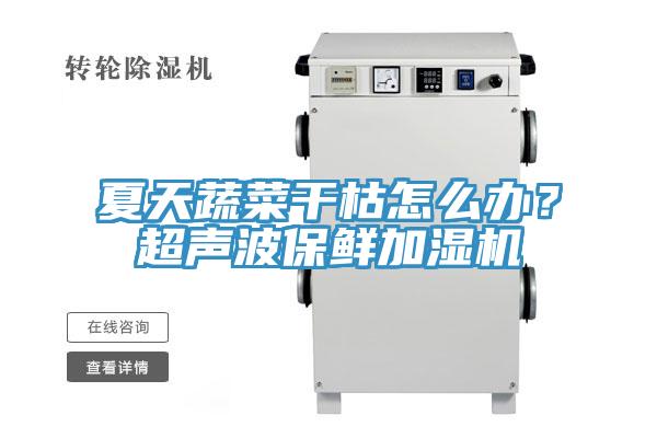 夏天蔬菜干枯怎么辦？超聲波保鮮加濕機