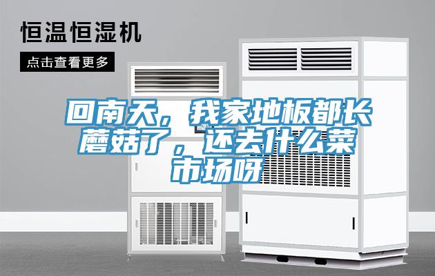 回南天，我家地板都長(zhǎng)蘑菇了，還去什么菜市場(chǎng)呀