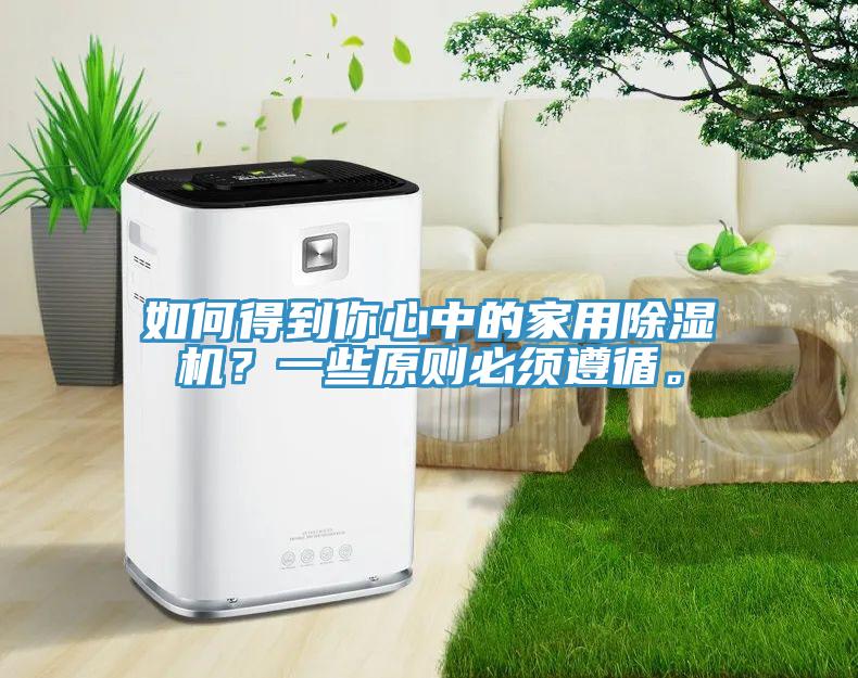 如何得到你心中的家用除濕機？一些原則必須遵循。
