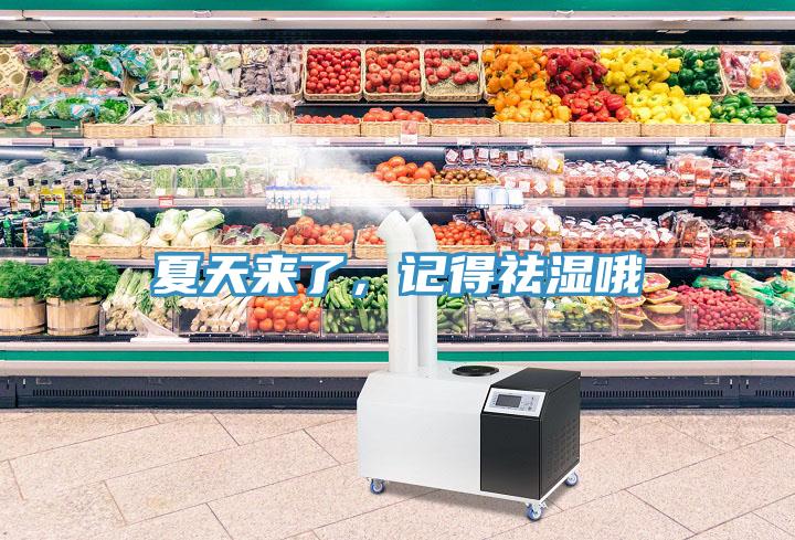 夏天來了，記得祛濕哦