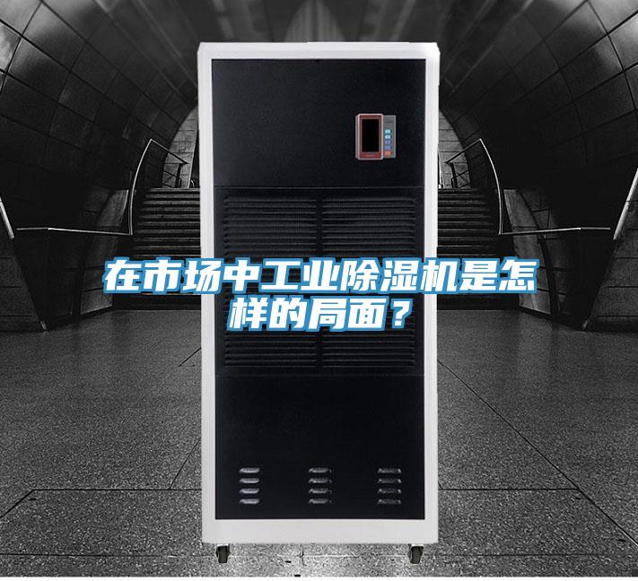 在市場(chǎng)中工業(yè)除濕機(jī)是怎樣的局面？