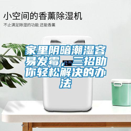 家里陰暗潮濕容易發(fā)霉，三招助你輕松解決的辦法