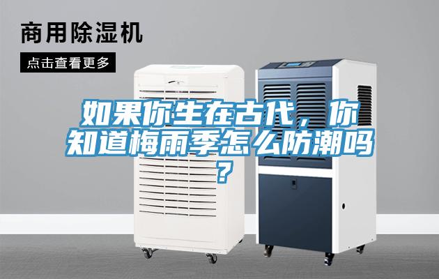 如果你生在古代，你知道梅雨季怎么防潮嗎？
