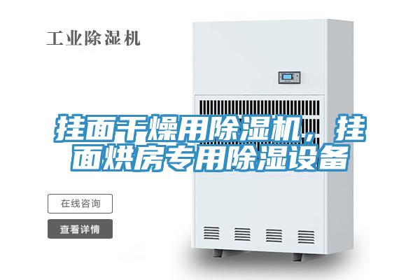 掛面干燥用除濕機(jī)，掛面烘房專用除濕設(shè)備