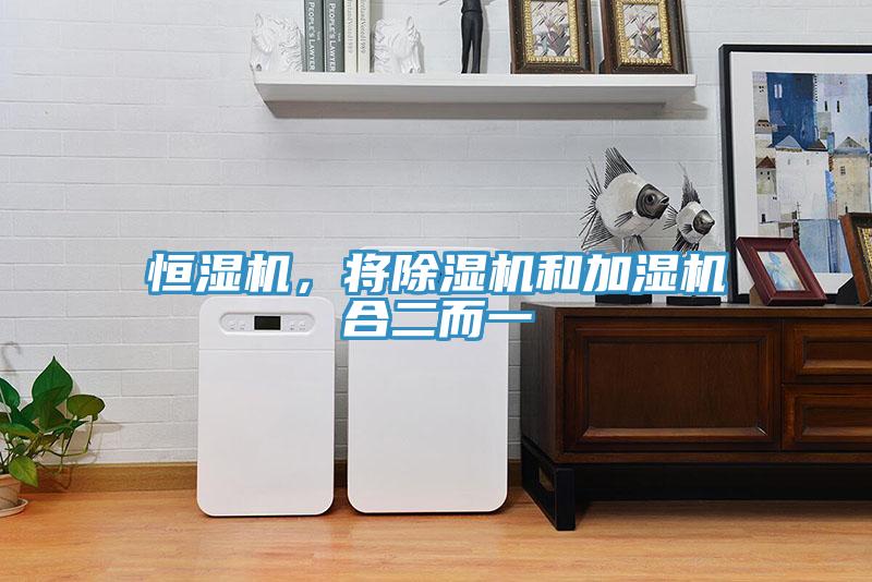 恒濕機，將除濕機和加濕機合二而一