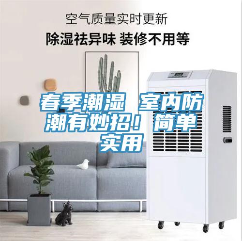 春季潮濕 室內(nèi)防潮有妙招！簡(jiǎn)單實(shí)用