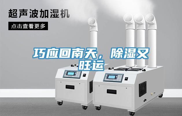 巧應(yīng)回南天，除濕又旺運(yùn)