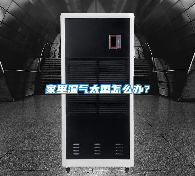 家里濕氣太重怎么辦？
