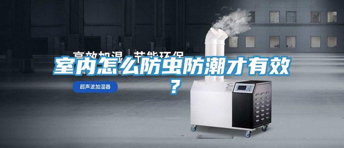 室內怎么防蟲防潮才有效？