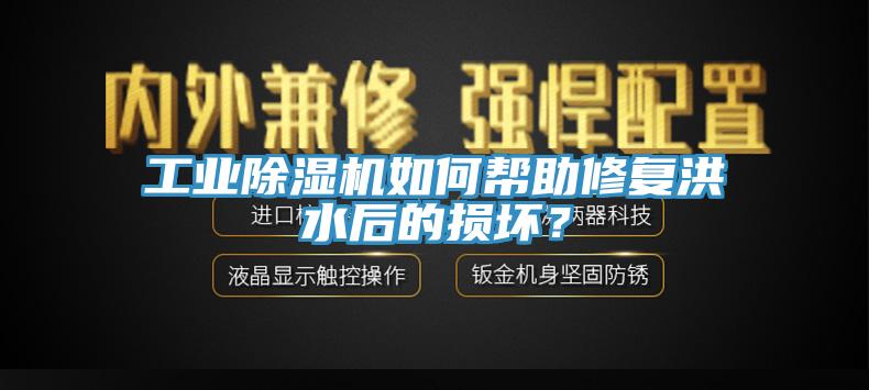工業(yè)除濕機如何幫助修復洪水后的損壞？