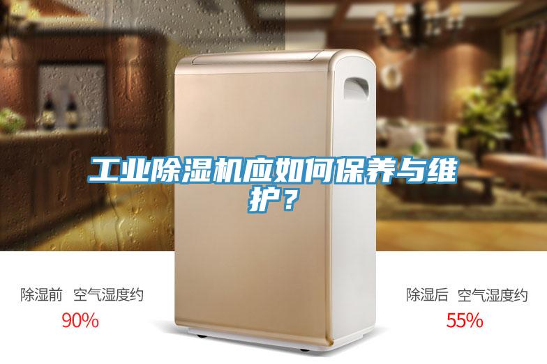 工業(yè)除濕機(jī)應(yīng)如何保養(yǎng)與維護(hù)？