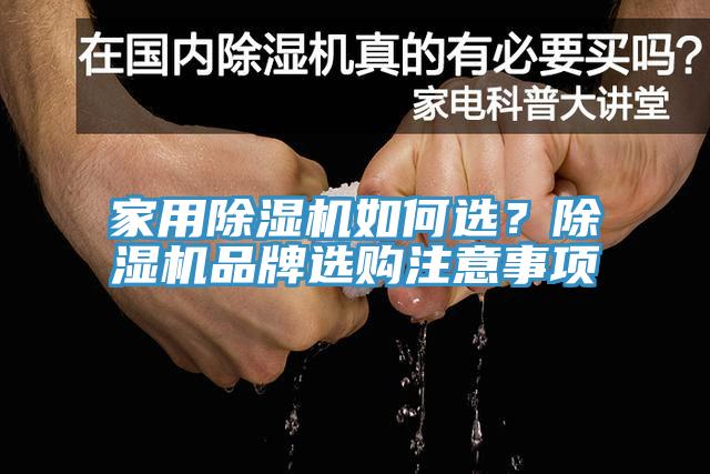 家用除濕機如何選？除濕機品牌選購注意事項