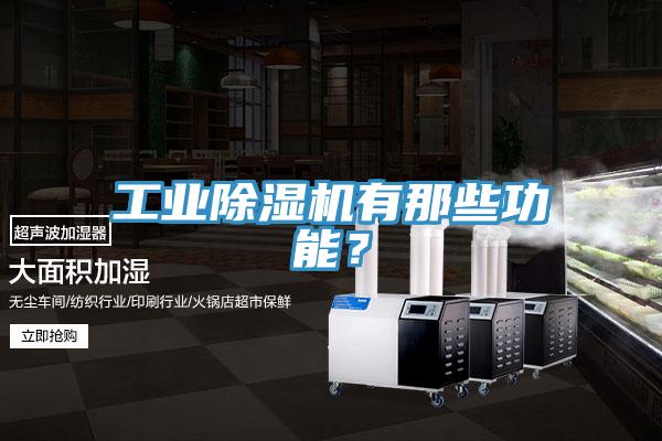 工業(yè)除濕機(jī)有那些功能？