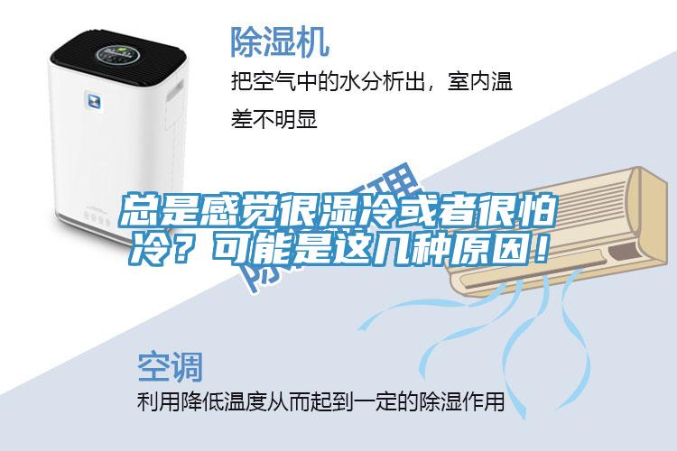 總是感覺很濕冷或者很怕冷？可能是這幾種原因！
