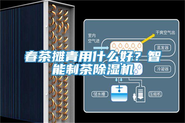 春茶攤青用什么好？智能制茶除濕機