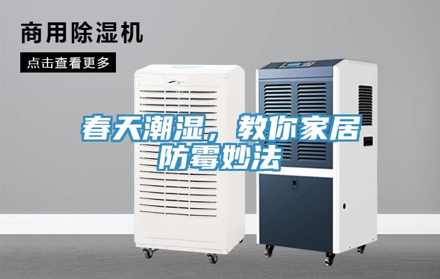 春天潮濕，教你家居防霉妙法