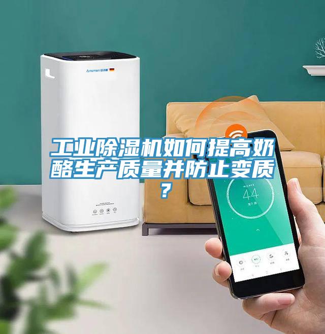 工業(yè)除濕機如何提高奶酪生產(chǎn)質(zhì)量并防止變質(zhì)？