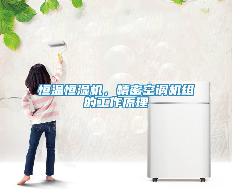 恒溫恒濕機，精密空調(diào)機組的工作原理
