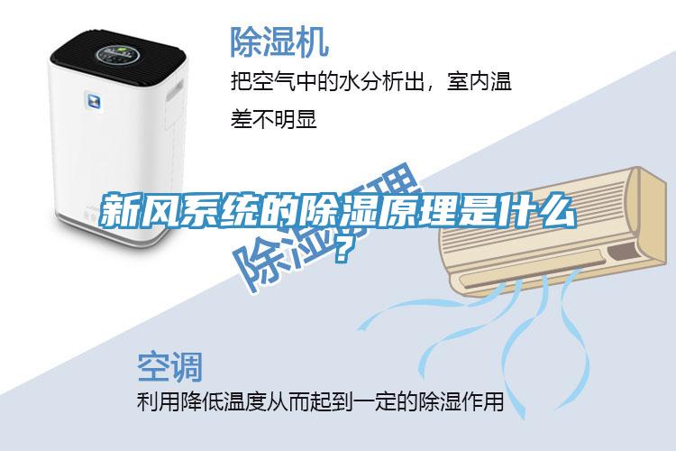 新風(fēng)系統(tǒng)的除濕原理是什么？