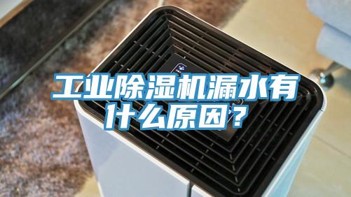 工業(yè)除濕機(jī)漏水有什么原因？
