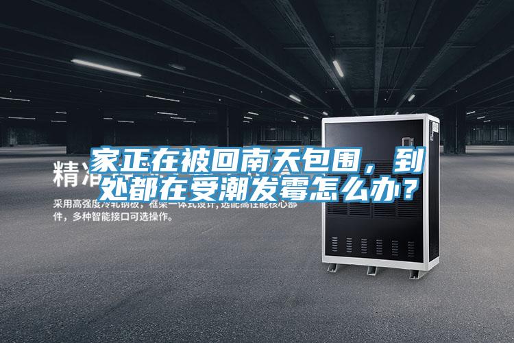 家正在被回南天包圍，到處都在受潮發(fā)霉怎么辦？